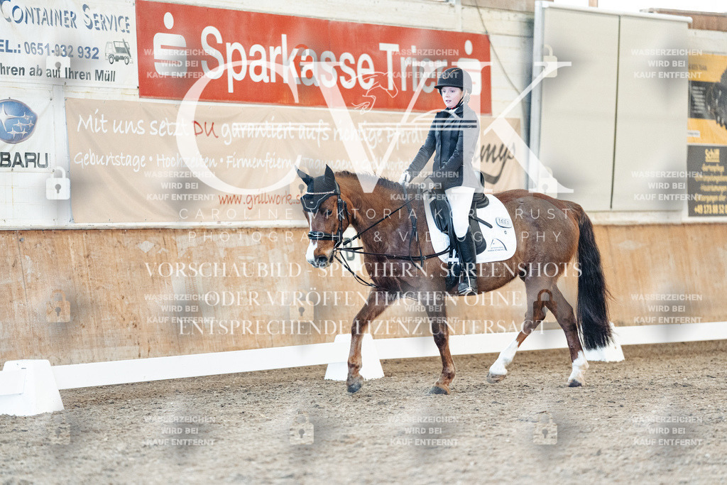 CK907110 | Turnierfotografie Pferdefotografie Trier Rheinland-Pfalz Pferdesport Reitsport Tierfotografie Sportfotografie Pferdevideo Pferdevideografie Equestrianvideography equestrianphotography  - Realisiert mit Pictrs.com