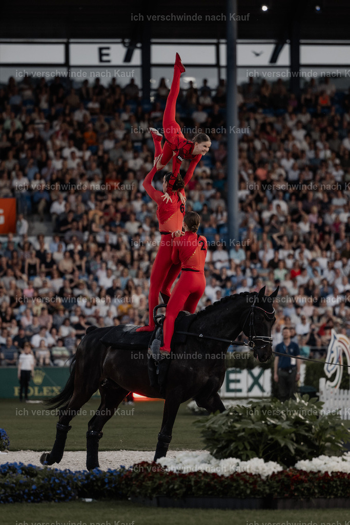 TSCHIO26_PferdundSinfonie_StoibphotographyTSCHIO26_Pferd-Sinfonie_Stoibphotography_AM11017.CR3.jpg | working equitationturnier fotograf videograf stoibphotography marixx film working equitation deutschland reitsport turnierfotografie eventfotografie equestrian events