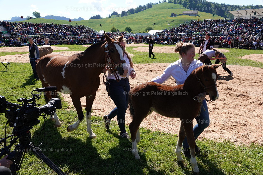 DSC00947 | Schwingen - Realisiert mit Pictrs.com