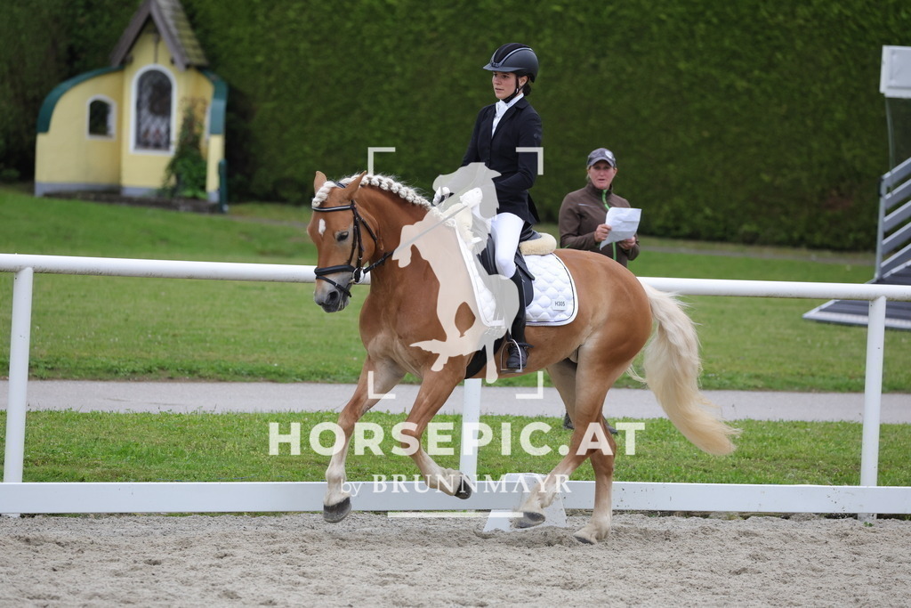 0P6A7105 | Willkommen bei Brunnmayr - Design & Fotografie – Ihrem Spezialisten für Reitturniere und Pferdeveranstaltungen in Oberösterreich, Salzburg und Bayern! Seit über 17 Jahren sind wir leidenschaftlich dabei.