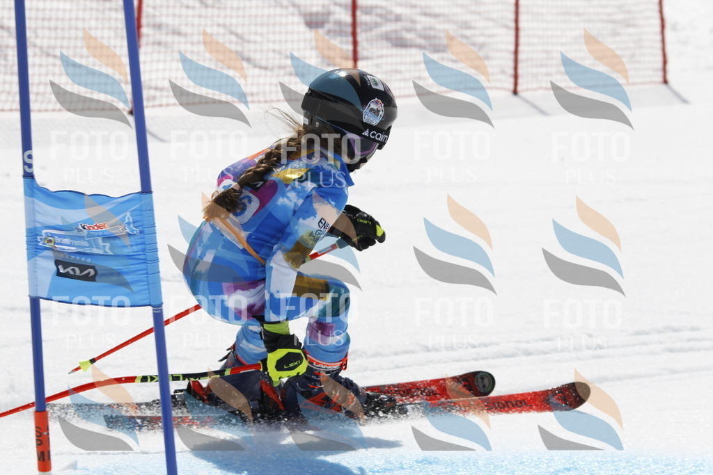 _U3G1669 | holidayphoto