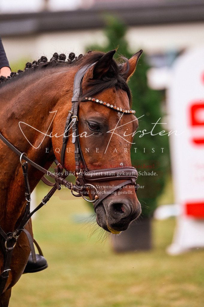 DSC_5430 | Pferde- und Turnierfotografie in Westsachsen. Pferdeportraits, Auftragszeichnungen und intuitive Kunst.