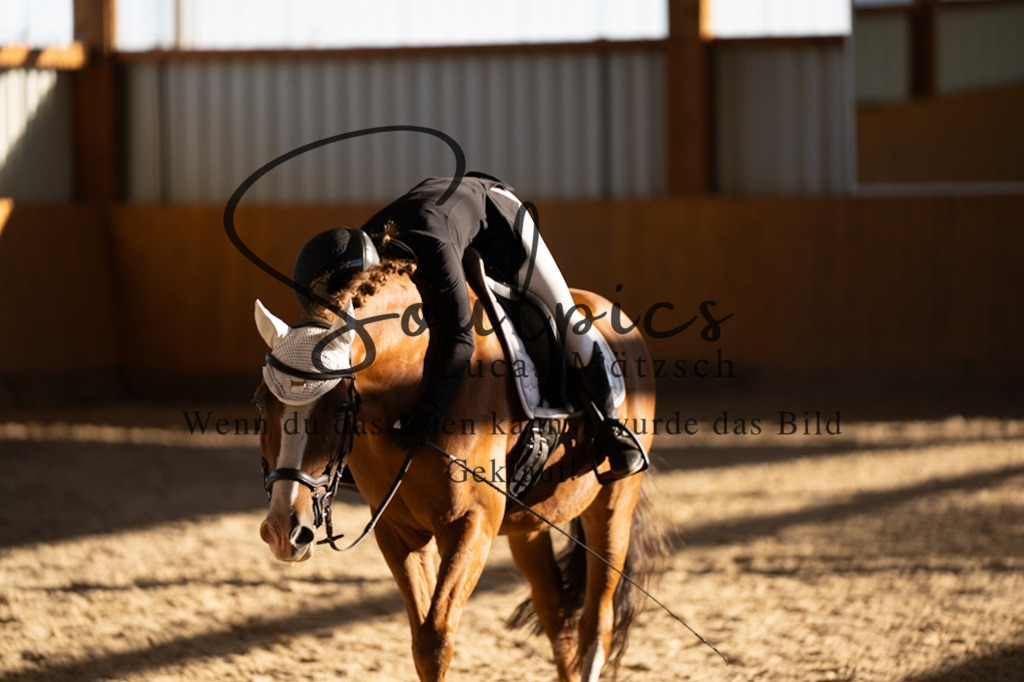 A7V01724 | Turnier/Reitfotograf