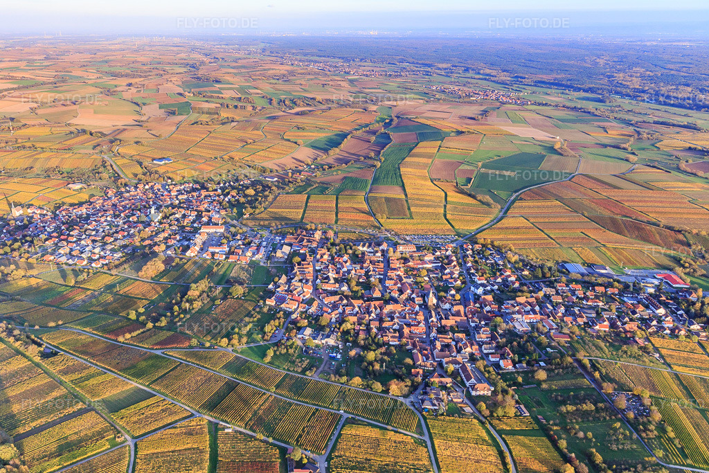 Luftbild: Winzerdorf in herbstlich gefärbten Weinbergen aus Westen im Ortsteil Schweigen in Schweigen-Rechtenbach im Bundesland Rheinland-Pfalz in Deutschland. Foto: IMG_104434.jpg vom 31.10.2017 durch Werner Riehm/FLY-FOTO.de