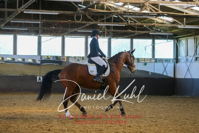 IMG_3295 | Turniersportfotografie; Pferdefotografie; Dressurfotografie
