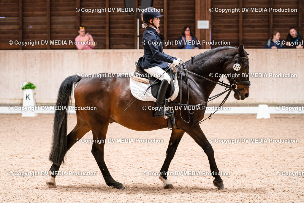 Dressur Tag 2-454 | dv-media-shop - Realisiert mit Pictrs.com