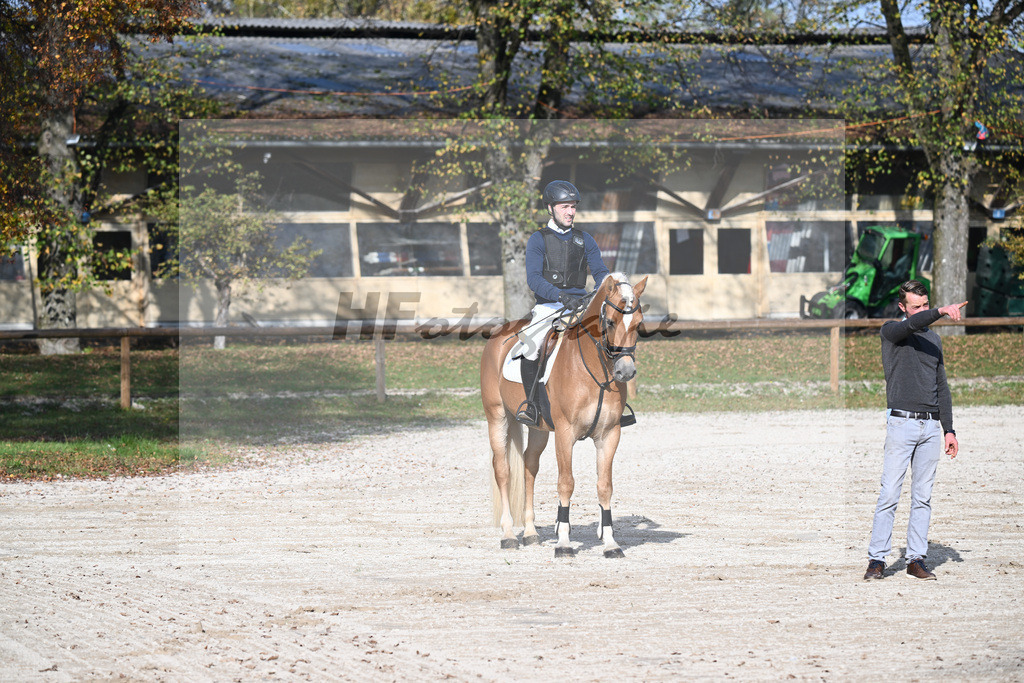 Kat-Nr. 9 Exclusiv_Haflingergestuet Dornburg_44240710 | hf-fotografie - Realisiert mit Pictrs.com