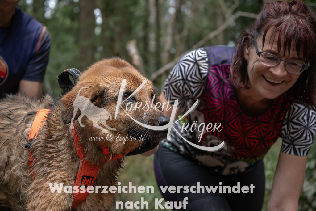 1335_ZZ94850 | kk-dogfotos