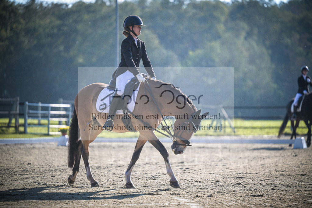 DOS_1468 | Entdecke hochwertige Reitturnierfotos von Foto Oger. Professionell, emotional und authentisch – jetzt Lieblingsmomente im Shop bestellen.Deutschlandweite Turnierfotografie. - Realisiert mit Pictrs.com