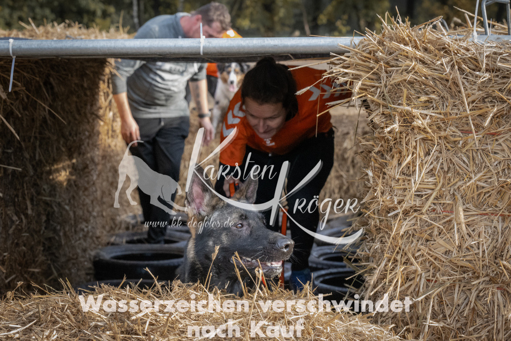 1031_ZZ98511 | kk-dogfotos