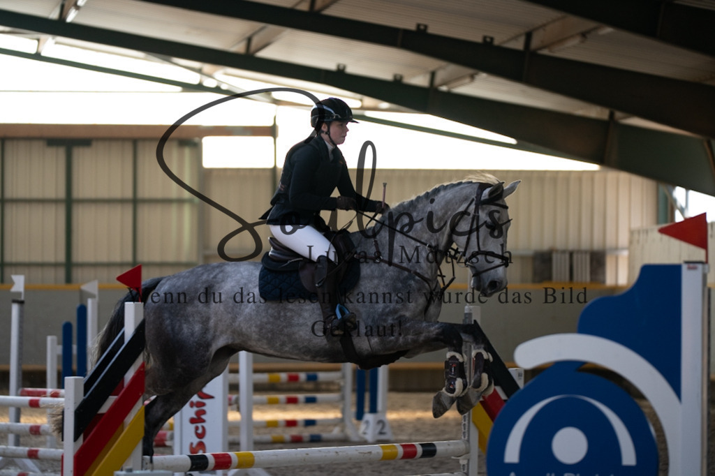 A7V06364 | Pferdefotograf