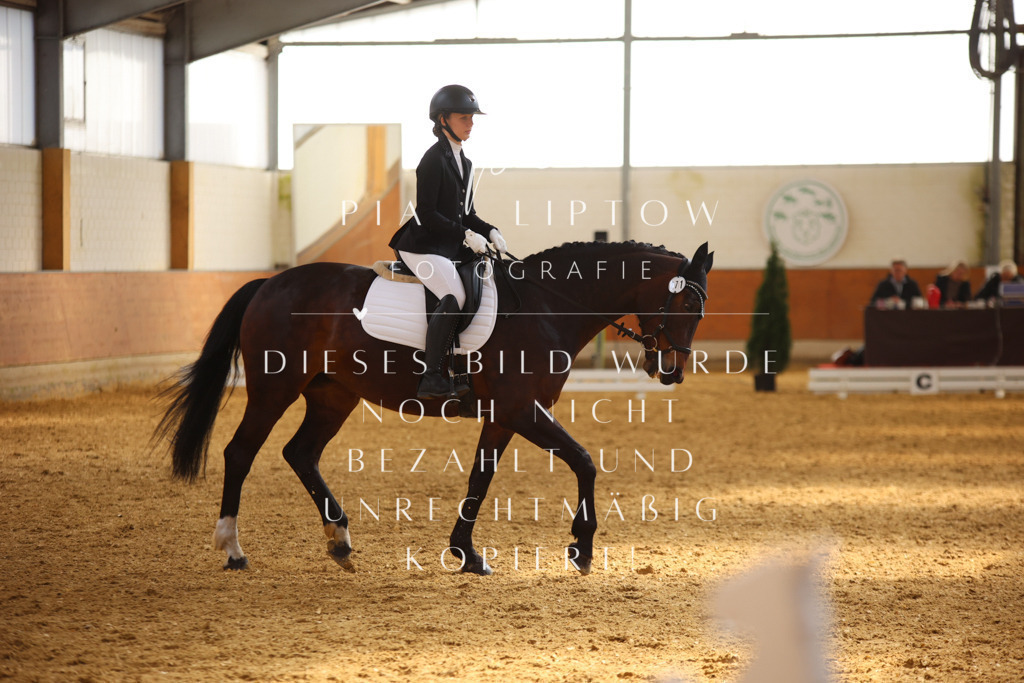 IMGT3738 | pl-fotografie