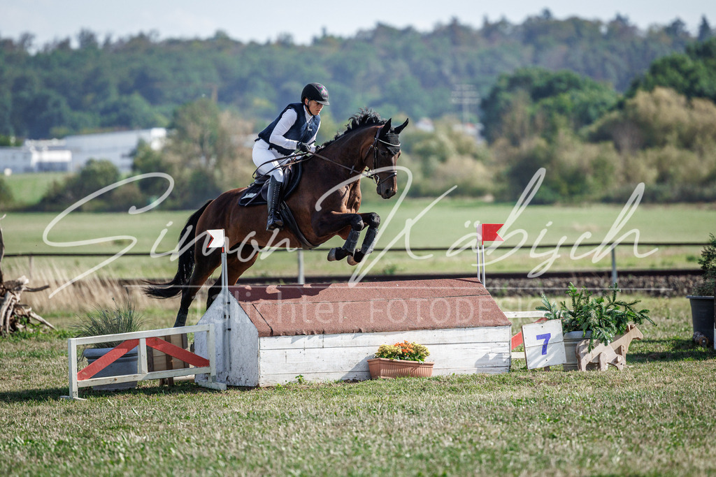 20260905-_3LI0013 | Tierfotografie Pferde, Hunde, Katzen, Haustiere.
Turnierfotografie Reitturniere, Reiten, Springreiten, Dressur in Hanau, dem Main-Kinzig-Kreis und dem Rhein-Main- Gebiet um Frankfurt