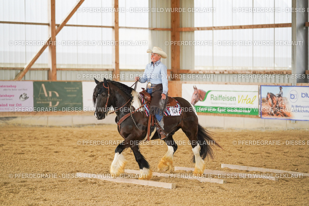 DSC04288 | Pferdegrafie