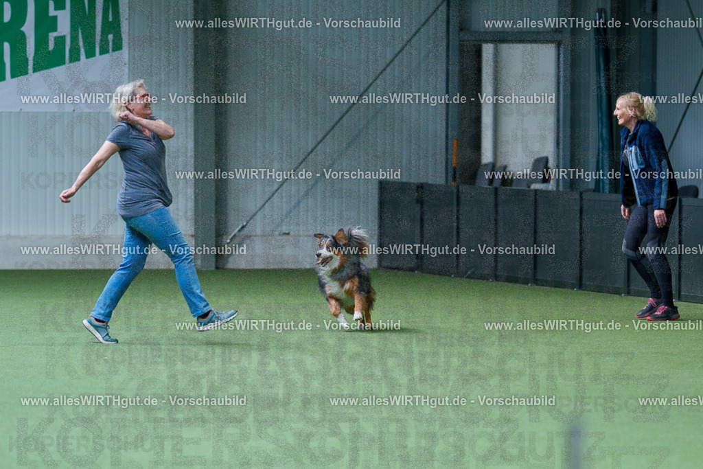 @allesWIRTHgut_Tierfotografie - www.allesWIRTHgut.de - 2604251545-7R506103 | Professionelle Tierfotografie in Mönchengladbach von Daniel Wirth (allesWIRTHgut). Liebevolle & natürliche Bilder von Hunden & Katzen für unvergessliche Erinnerungen.
