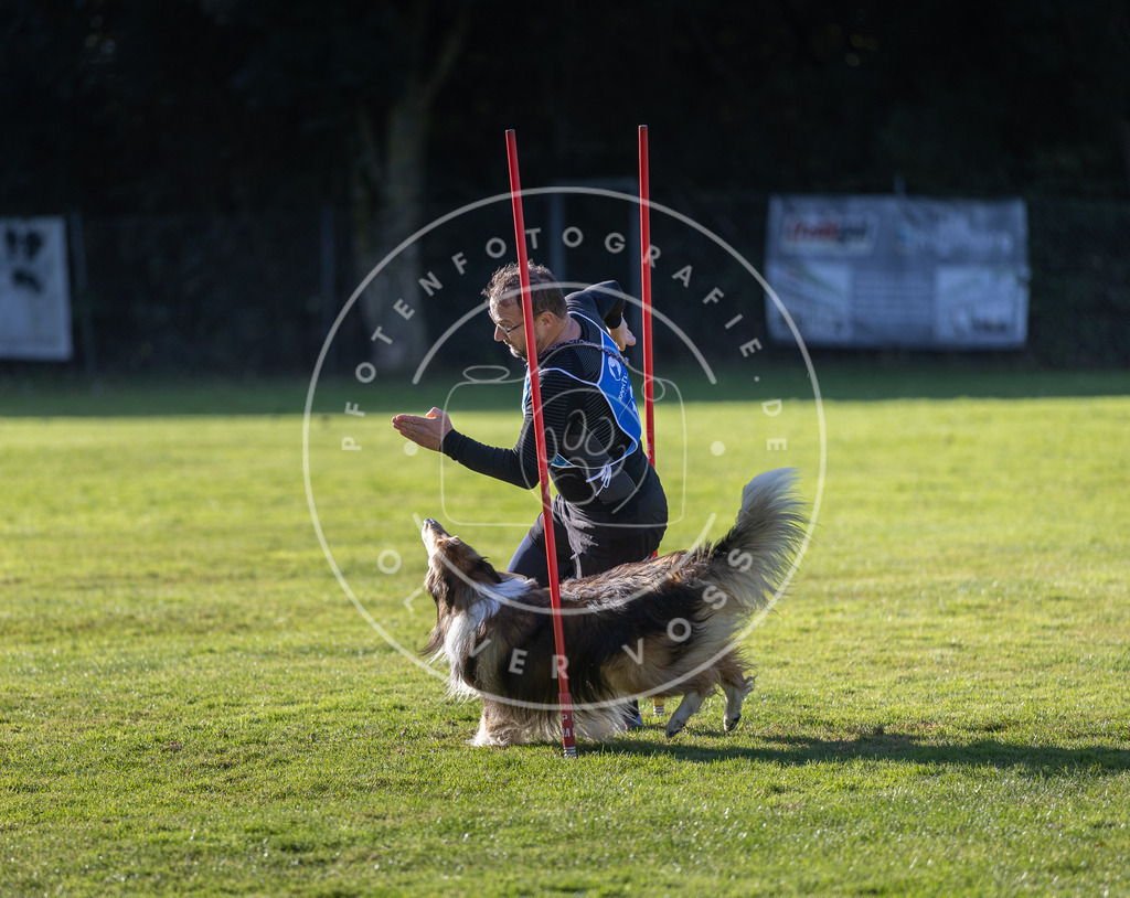 Pfotenfotografie.de_DV3A3265 | Hundefotografie, Tierfotograf, Pfotenfotografie, Fotoshooting Hund, Hunde Portrait, Hundesport, Hundeportraits, Heideshooting, Hunde, Sportfotograf, Hundefotograf, Turnierhundsport, THS, canicross - Realisiert mit Pictrs.com