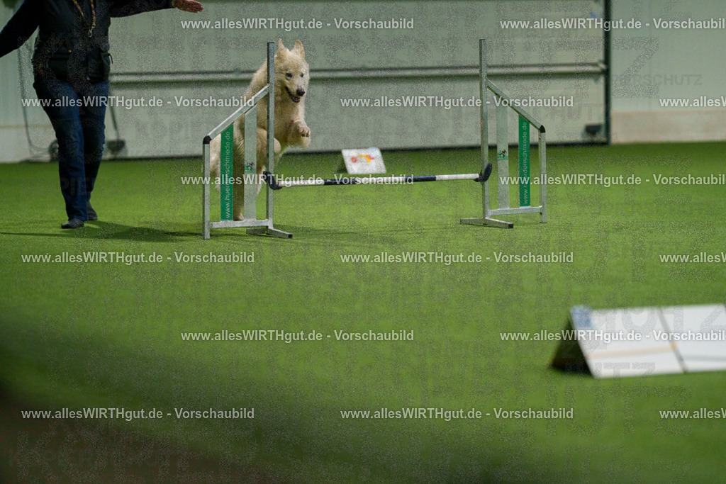 7R504228 | Professionelle Tierfotografie in Mönchengladbach von Daniel Wirth (allesWIRTHgut). Liebevolle & natürliche Bilder von Hunden & Katzen für unvergessliche Erinnerungen.