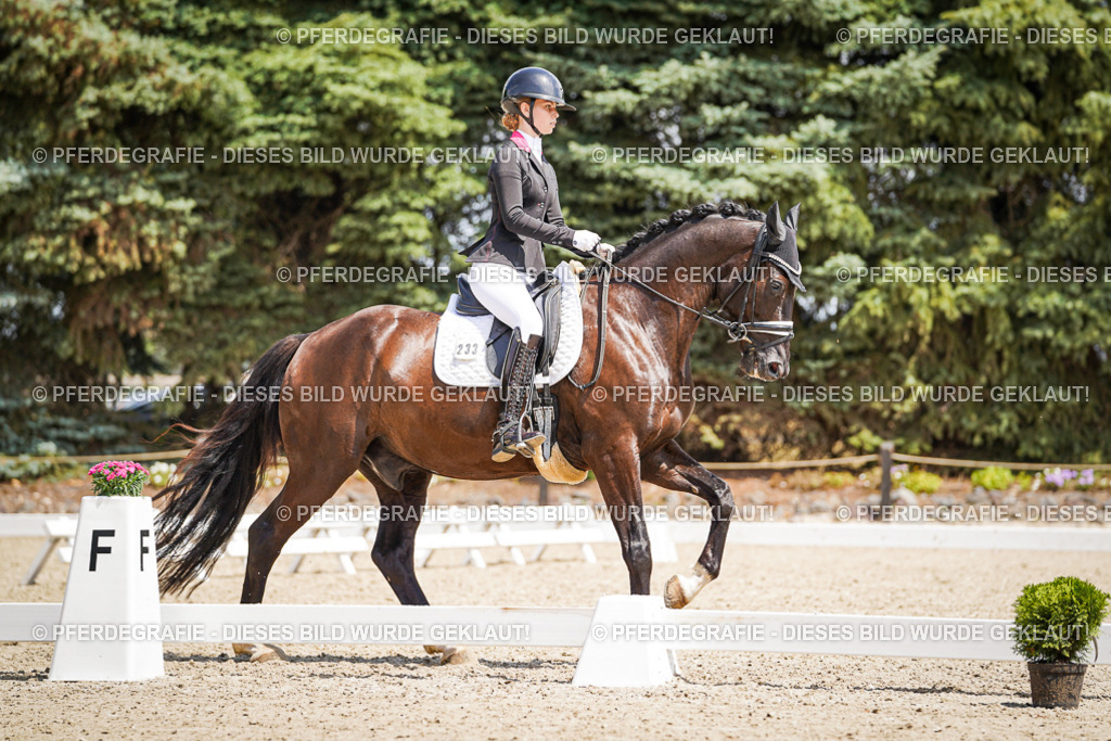 DSC01646 | Pferdegrafie