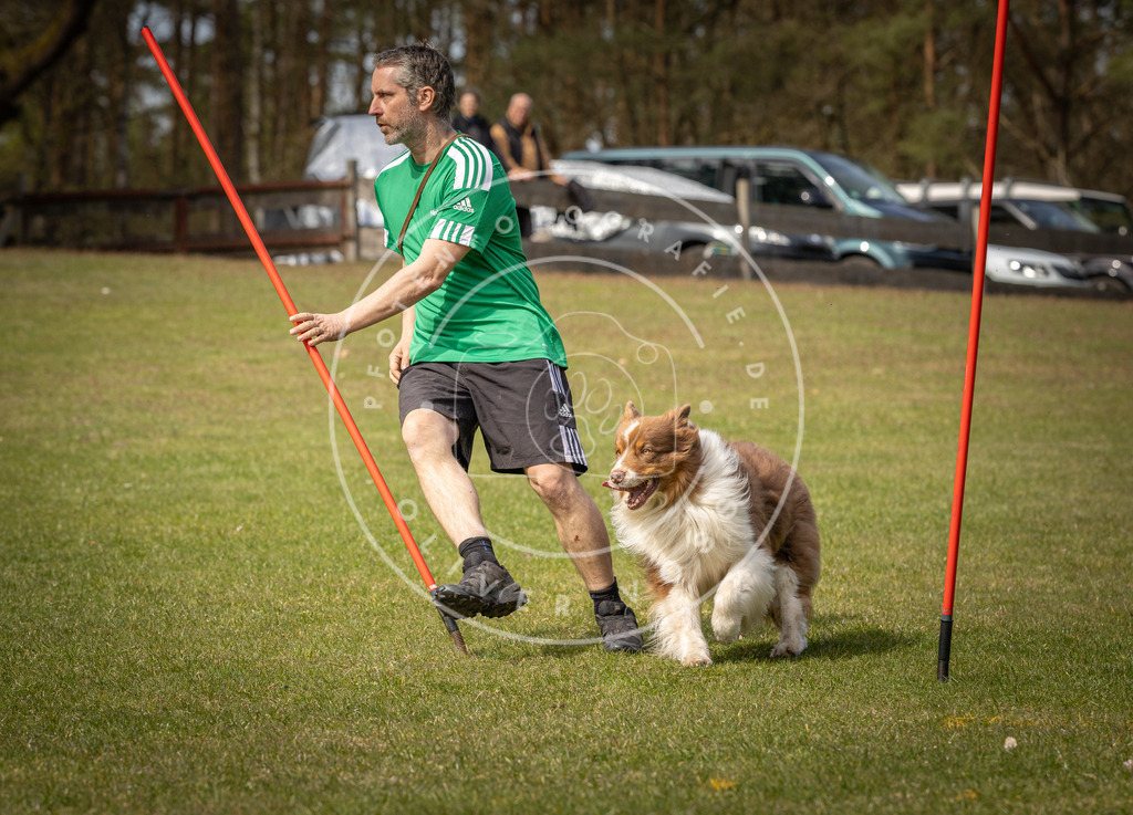 Pfotenfotografie_DV3A7737 | Hundefotografie, Tierfotograf, Pfotenfotografie, Fotoshooting Hund, Hunde Portrait, Hundesport, Hundeportraits, Heideshooting, Hunde, Sportfotograf, Hundefotograf, Turnierhundsport, THS,  - Realisiert mit Pictrs.com