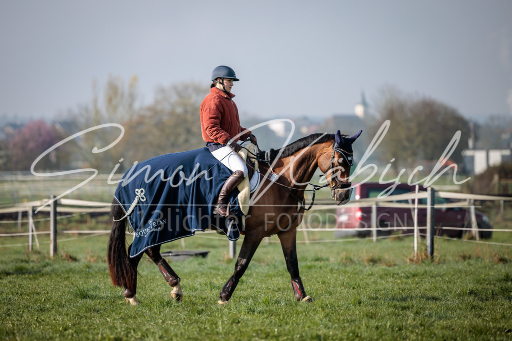 20260329-_3LI3226 | Tierfotografie Pferde, Hunde, Katzen, Haustiere.
Turnierfotografie Reitturniere, Reiten, Springreiten, Dressur in Hanau, dem Main-Kinzig-Kreis und dem Rhein-Main- Gebiet um Frankfurt