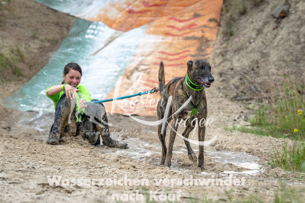 0954_ZZ91801-Verbessert-RR | kk-dogfotos
