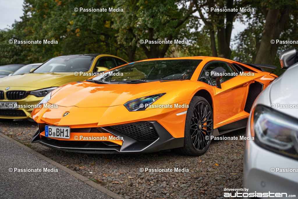 DSC05230 | Passionate Media, dein Fotograf aus Brandenburg, Märkisch Oderland, im Bereich Motorsport, Autos und Motorräder sowie Events und auch Hunde. Shootings oder auch Eventbegleitungen können bei mir gebucht we