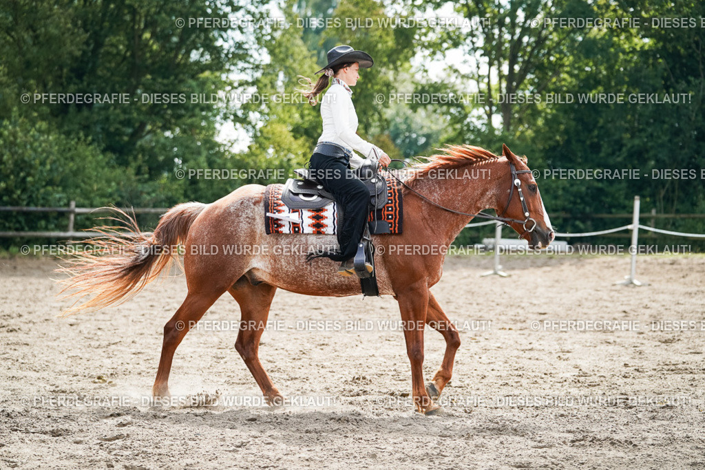 DSC04444 | Pferdegrafie