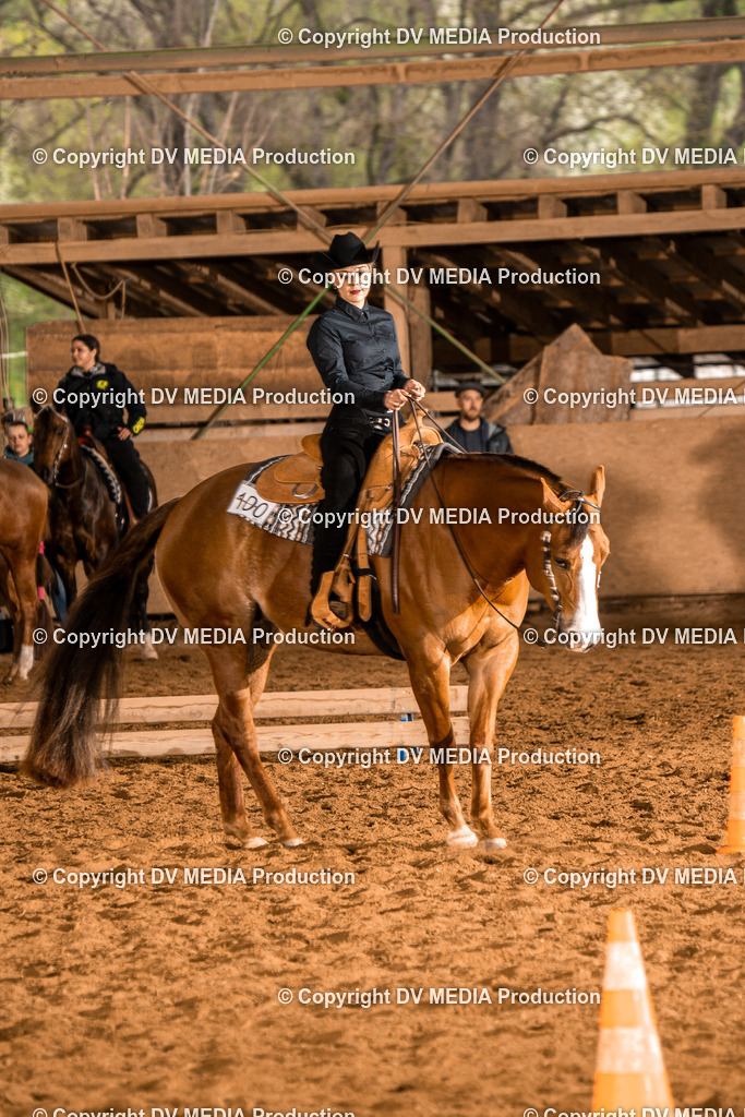 BAL00203 | dv-media-shop - Realisiert mit Pictrs.com