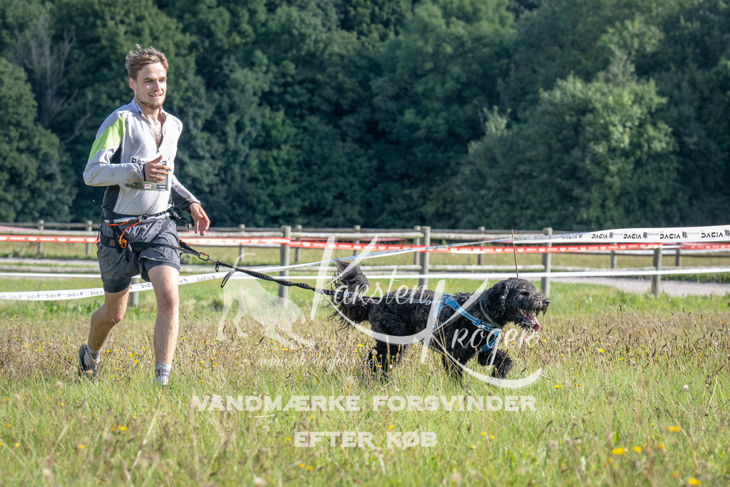 1026_ZZ90182 | kk-dogfotos