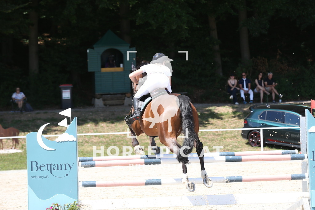 PP017778 | Willkommen bei Brunnmayr - Design & Fotografie – Ihrem Spezialisten für Reitturniere und Pferdeveranstaltungen in Oberösterreich, Salzburg und Bayern! Seit über 17 Jahren sind wir leidenschaftlich dabei.