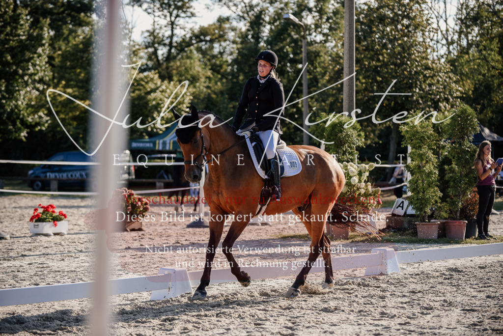 DSC_0691 | Pferde- und Turnierfotografie in Westsachsen. Pferdeportraits, Auftragszeichnungen und intuitive Kunst.