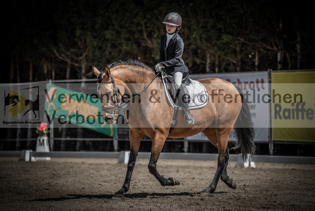 DSC_0912 | equestrian-live-com