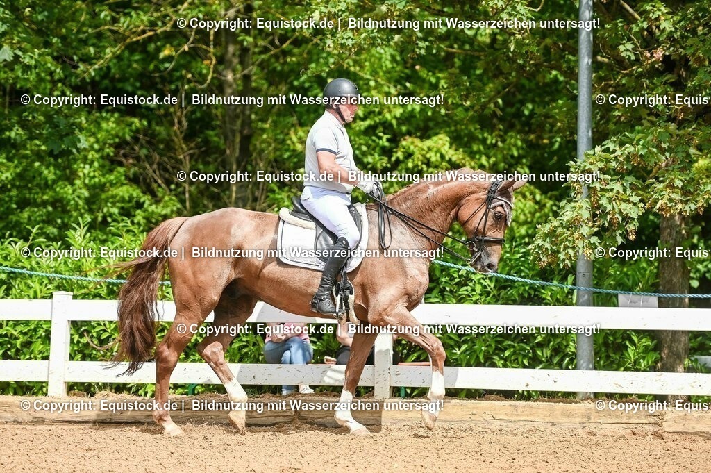 20230716_01_Dressurprüfung Kl.M_0089 | equistock