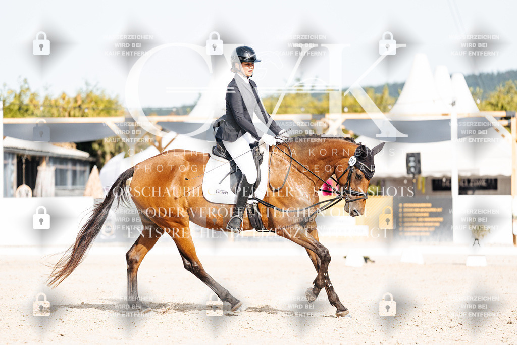 CK904935 | Turnierfotografie Pferdefotografie Trier Rheinland-Pfalz Pferdesport Reitsport Tierfotografie Sportfotografie Pferdevideo Pferdevideografie Equestrianvideography equestrianphotography  - Realisiert mit Pictrs.com