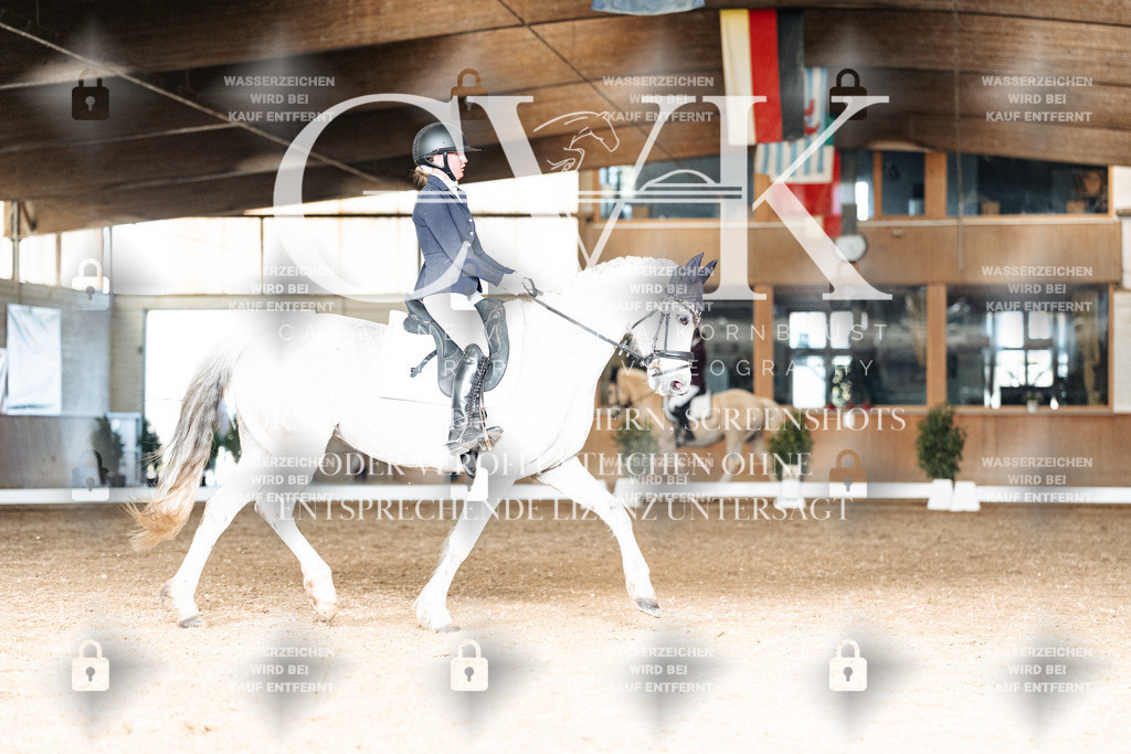 CK902546 | Turnierfotografie Pferdefotografie Trier Rheinland-Pfalz Pferdesport Reitsport Tierfotografie Sportfotografie Pferdevideo Pferdevideografie Equestrianvideography equestrianphotography  - Realisiert mit Pictrs.com