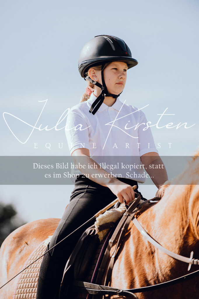 DSC_6876 | Pferde- und Turnierfotografie in Westsachsen. Pferdeportraits, Auftragszeichnungen und intuitive Kunst.