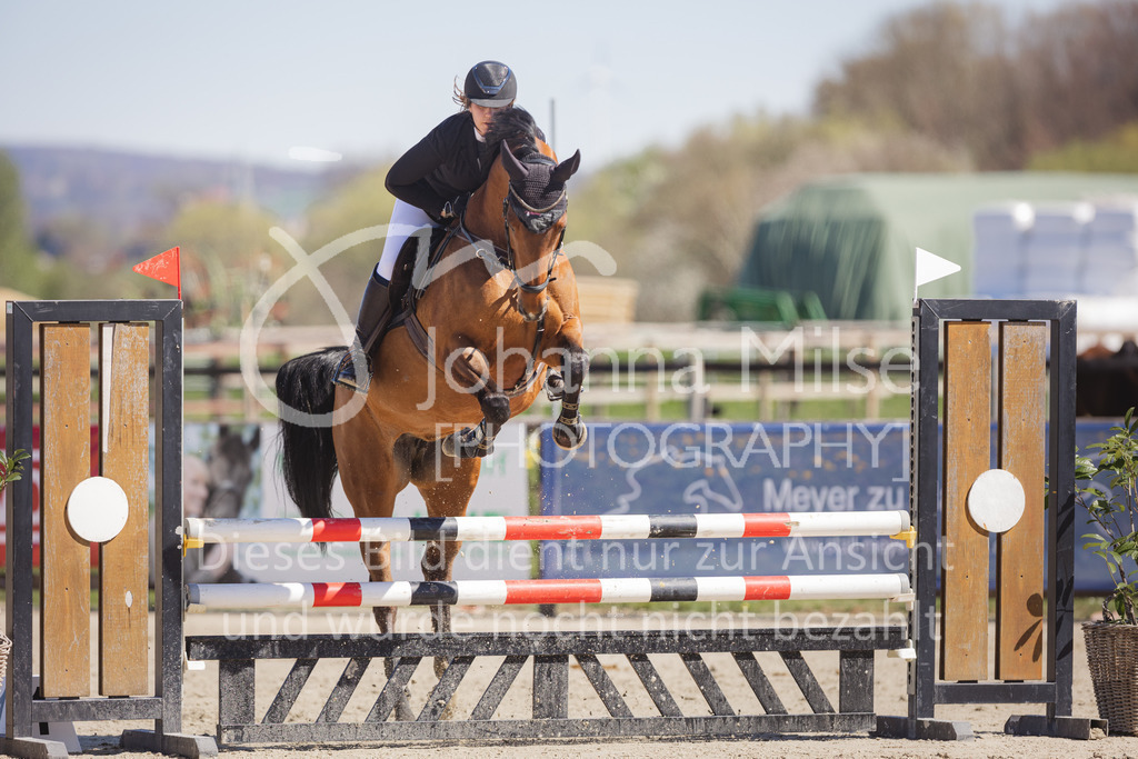220416_3_A-Springen-342 | Frühlingsfest der Pferde
Herford
16.April 2022
03/1 Sprigprüfung mit steigenden Anforderungen Kl. A** geschlossen 0-43 RLP