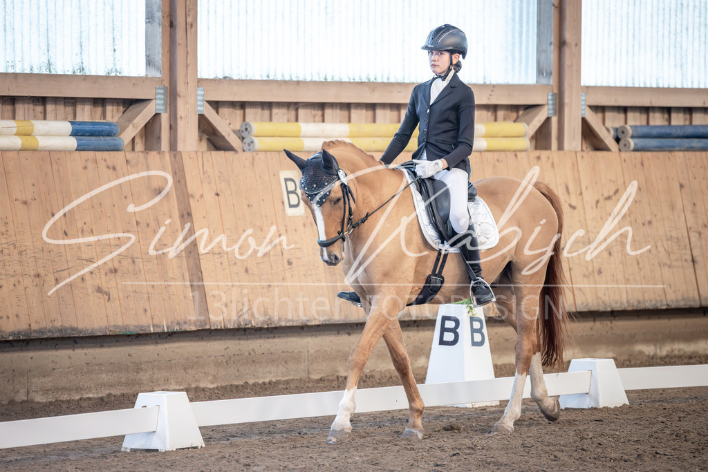 20251011-_3LI6654 | Tierfotografie Pferde, Hunde, Katzen, Haustiere.
Turnierfotografie Reitturniere, Reiten, Springreiten, Dressur in Hanau, dem Main-Kinzig-Kreis und dem Rhein-Main- Gebiet um Frankfurt