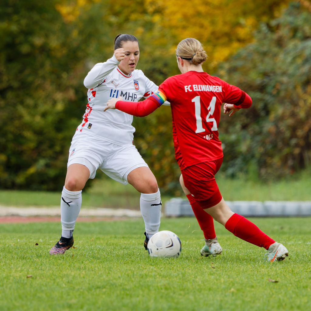 FCEFCH_251012_1319 | Fotopresso – Sportfotografie in Heidenheim & Umgebung. Professionelle Sportfotografie für unvergessliche Momente. Dynamische Action-Shots, emotionale Szenen & hochwertige Bilder. - Realisiert mit Pictrs.com
