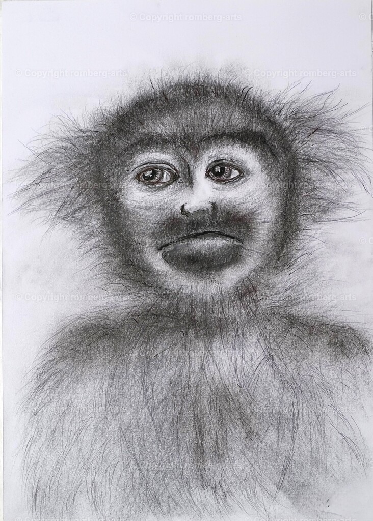 L1020669 | romberg-arts, romberg-arts.de, www.romberg-arts.de, Foto_Online_Shop, Julia Fuhrmann, Köln, Fotos, Fotografie, Fotokunst, Kunstdrucke, Naturfotos, Aktfotos, Nacktfotos, schwarz_weiß_Fotos, Blumenfotos, Blumen, Tiere, Beton, Korrosion, Lächeln, Drucke