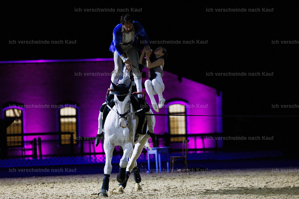 FHClassics-217 | working equitationturnier fotograf videograf stoibphotography marixx film working equitation deutschland reitsport turnierfotografie eventfotografie equestrian events