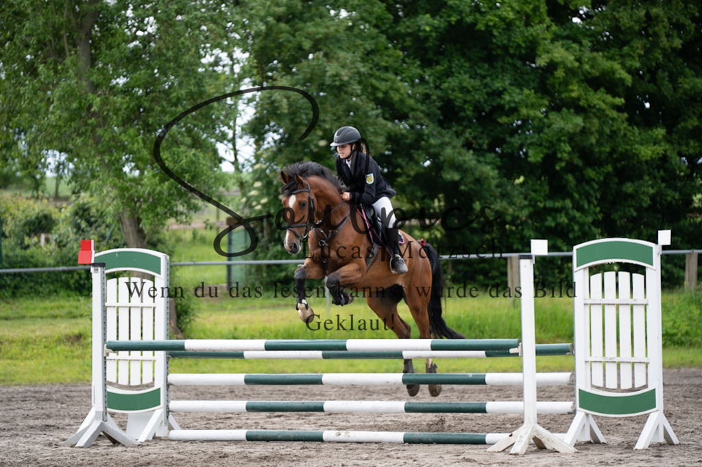 A7V04151 | Pferdefotograf