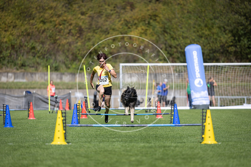 Pfotenfotografie_DV3A6527 | Hundefotografie, Tierfotograf, Pfotenfotografie, Fotoshooting Hund, Hunde Portrait, Hundesport, Hundeportraits, Heideshooting, Hunde, Sportfotograf, Hundefotograf, Turnierhundsport, THS,  - Realisiert mit Pictrs.com