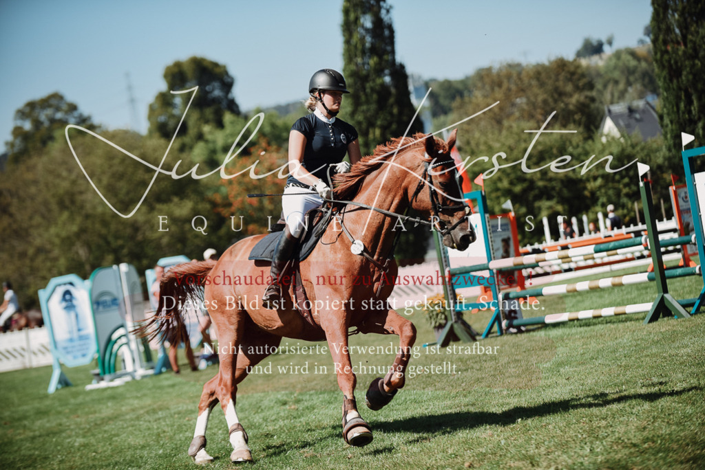 DSC_3100 | Pferde- und Turnierfotografie in Westsachsen. Pferdeportraits, Auftragszeichnungen und intuitive Kunst.