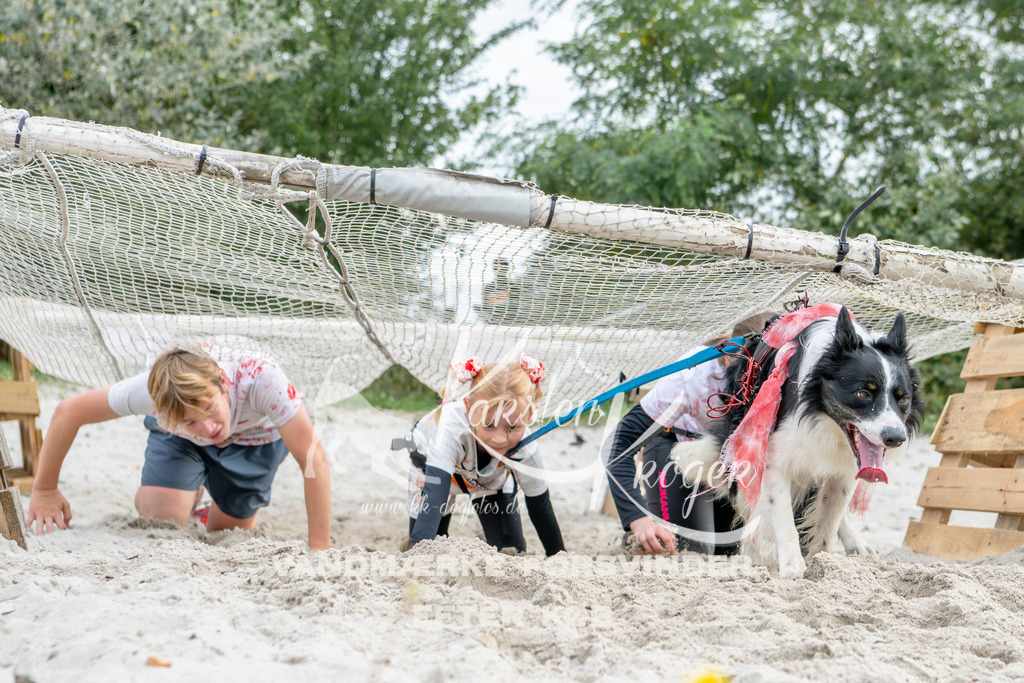 1528_ZZ95355 | kk-dogfotos