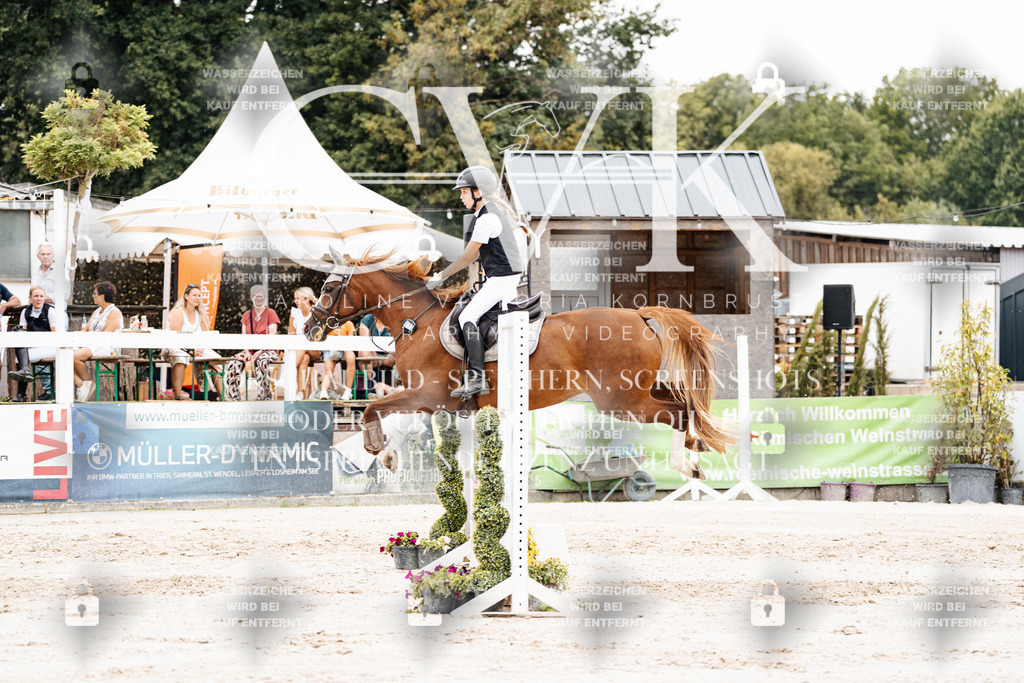 CK908443 | Turnierfotografie Pferdefotografie Trier Rheinland-Pfalz Pferdesport Reitsport Tierfotografie Sportfotografie Pferdevideo Pferdevideografie Equestrianvideography equestrianphotography  - Realisiert mit Pictrs.com