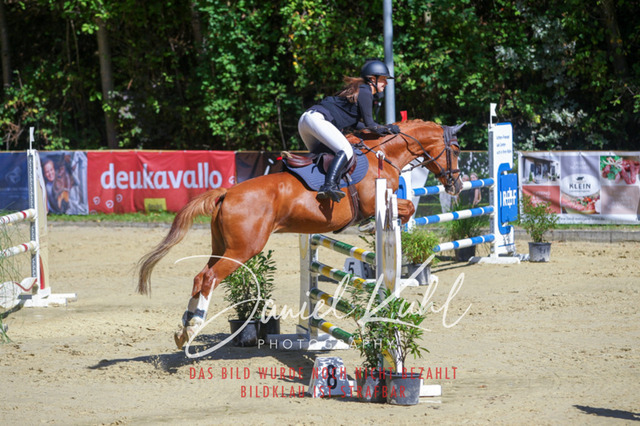 DKP43143 | Deine Turnierfotos vom Reitturnier online kaufen: Dressur, Springen & Siegerehrung. Professionelle Pferdefotografie aus dem Rheinland – als Download & Print.Alternative: Turnierfotograf für den Pferdesport: Finde deine Fotos von Dressur- und Springturnier