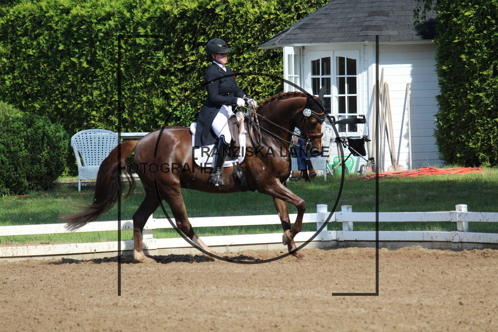 IMG_6680 | franziskalange - Realisiert mit Pictrs.com