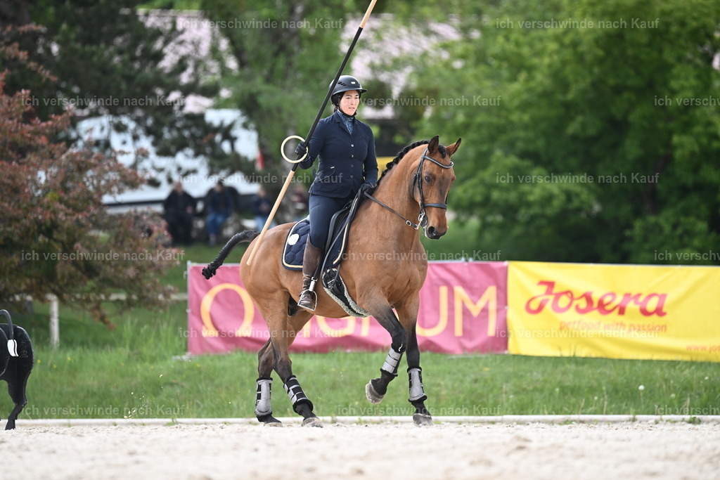 PI26_ST_Sara_Landvogt226_3217.JPG | working equitationturnier fotograf videograf stoibphotography marixx film working equitation deutschland reitsport turnierfotografie eventfotografie equestrian events