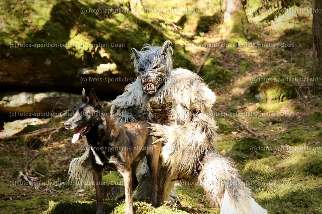 IMG_4811 | fotos-sportlich-belichtet - Realisiert mit Pictrs.com